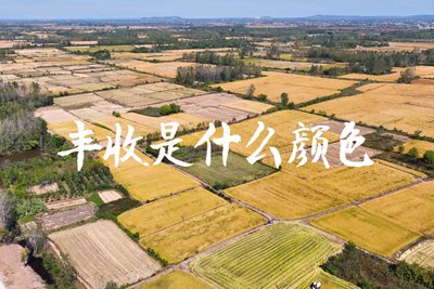 春種一粒粟，秋收萬顆子。多彩的豐收季，只愿五谷豐登，百事興旺3.240_400.jpg