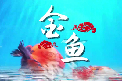 金魚歡躍，流光溢彩！_400.jpg